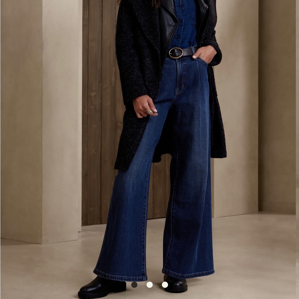 Banana Republic NWT Pleated Wide-Leg Jean Size 2